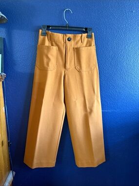 Tahari Men's Crop Wide-Leg Chinos in Rust